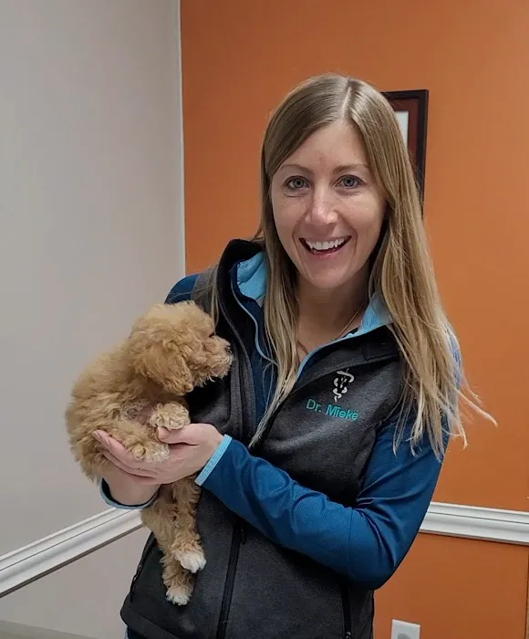 Versailles Veterinary Clinic 1