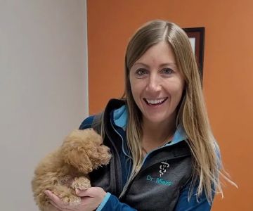 Versailles Veterinary Clinic