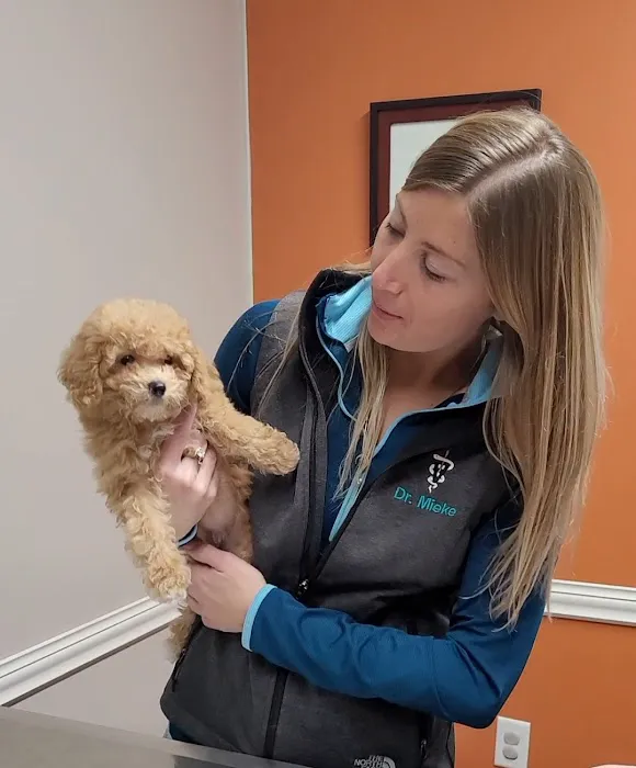 Versailles Veterinary Clinic 2