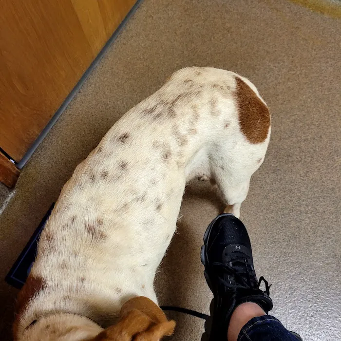 Laurie Animal Hospital 4