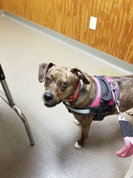 Laurie Animal Hospital 10