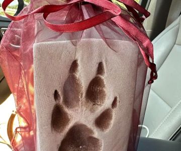Affinity Veterinary Cremations