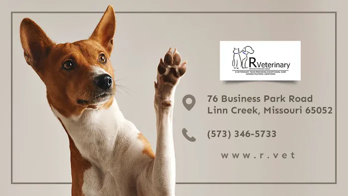 R Veterinary Group 1