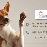 R Veterinary Group ico