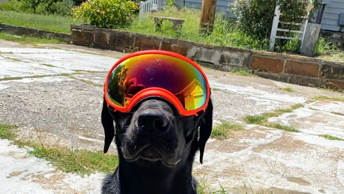 R Veterinary at The Lake 9