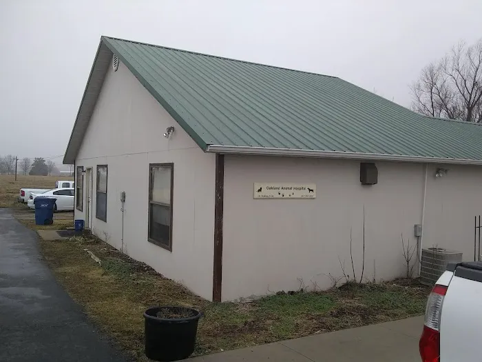 Oakland Animal Hospital 10