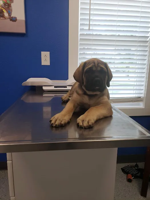 Lebanon Veterinary Clinic 1