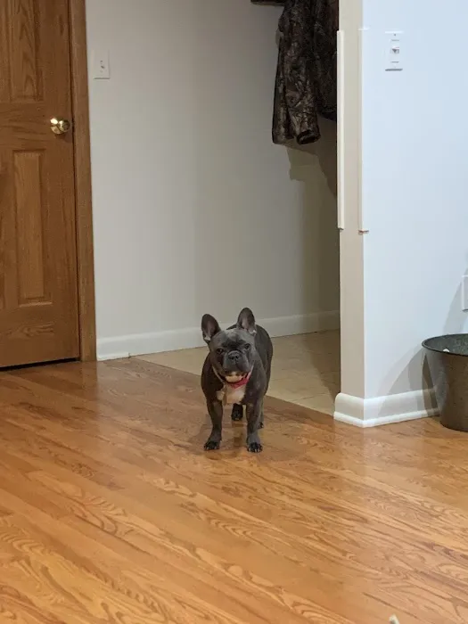 Lebanon Veterinary Clinic 5