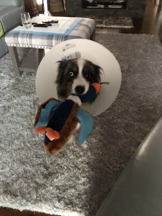 Howerton Animal Hospital llc 10