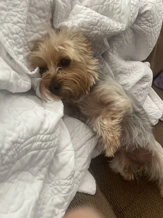 Howerton Animal Hospital llc 6