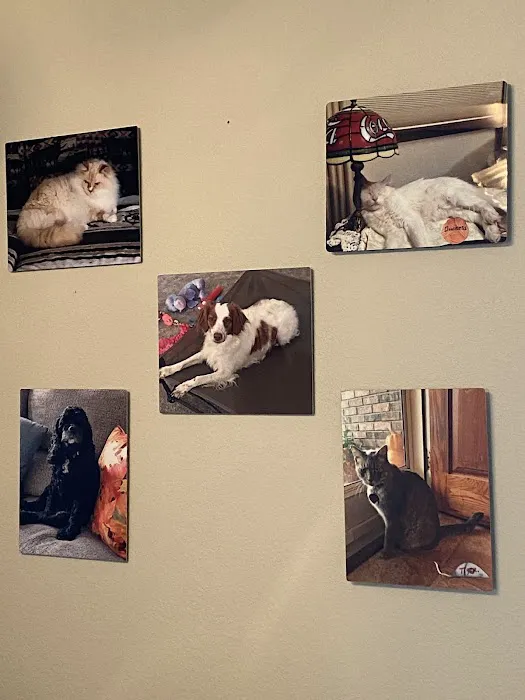 Howerton Animal Hospital llc 7