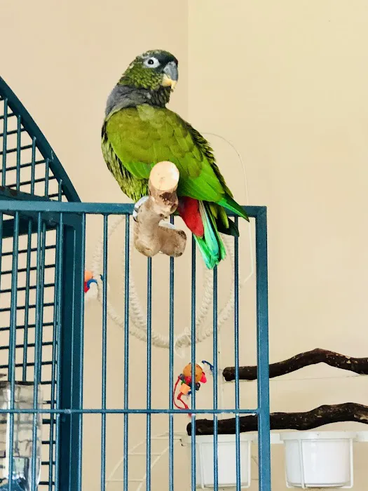 All Pets Veterinary Wellness Clinic 12