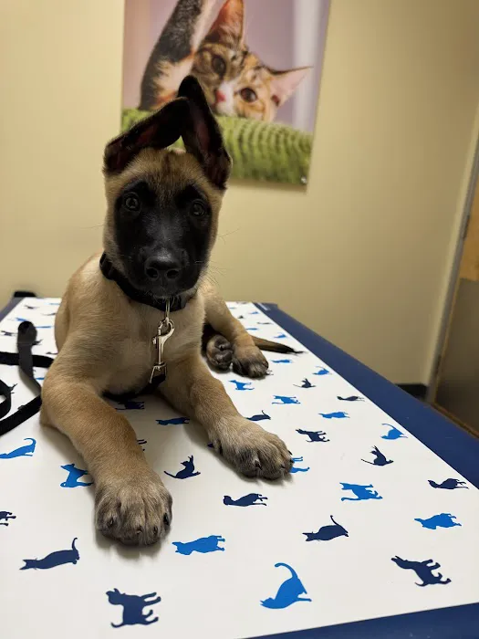 Vetco Total Care Animal Hospital 2
