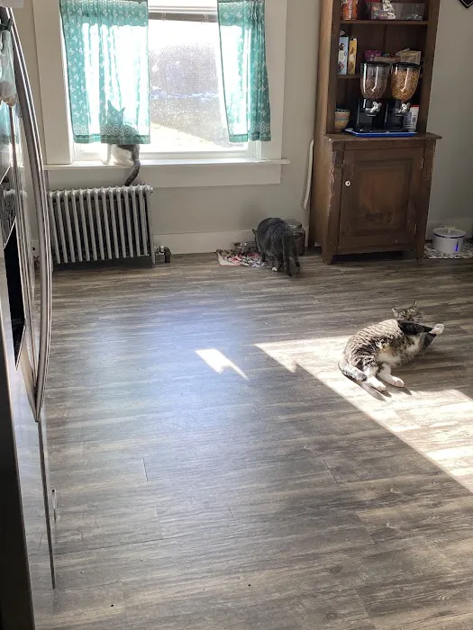 Oak Hollow Animal Hospital 5