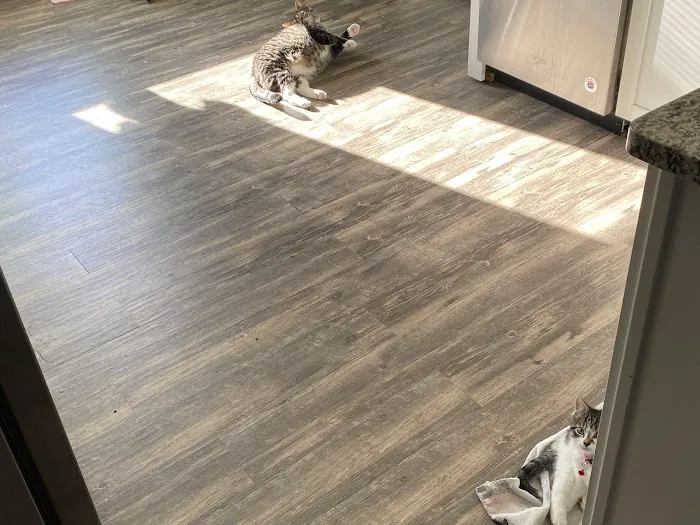 Oak Hollow Animal Hospital 2
