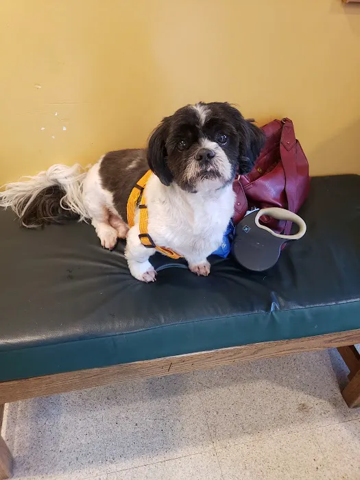 Pine Creek Veterinary Associates 8