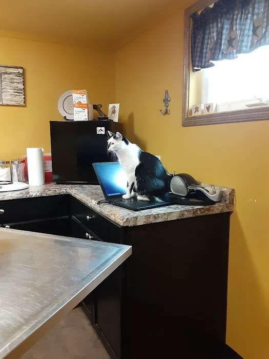 RoseBird Veterinary Center 10