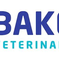 Hello ico