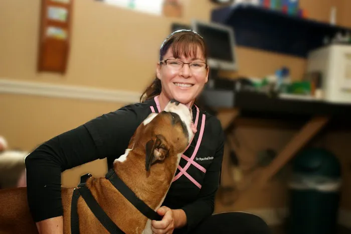 Lewis Veterinary Clinic 8
