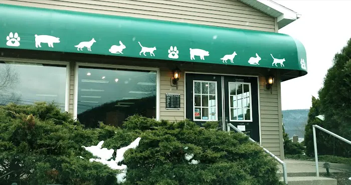 Lewis Veterinary Clinic 3
