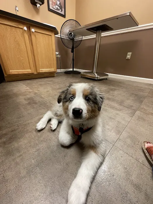 Lewis Veterinary Clinic 7