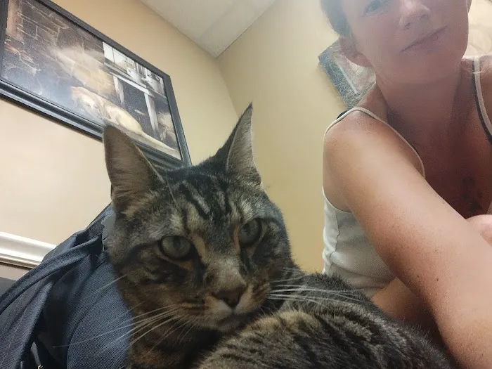 Lewis Veterinary Clinic 1