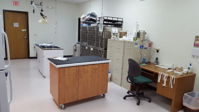 Buddy's Vets - East 4