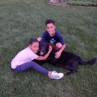 Buddy's Vets - East ico