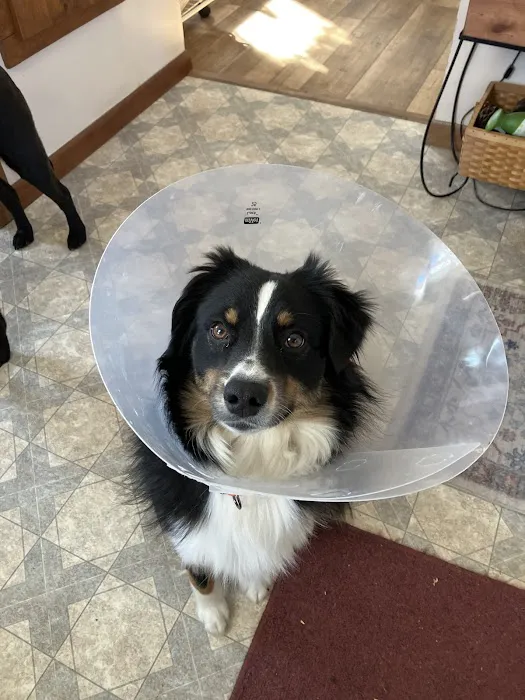 Paws & Co Clinics 12