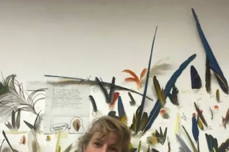 Birddoc.net