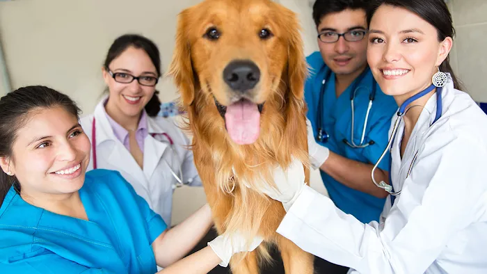 Animal Hospital of De Pere 12
