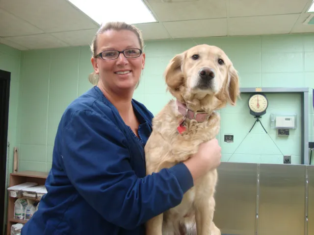 Animal Hospital of De Pere 12