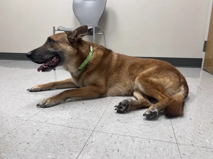 Riverside Animal Hospital 12