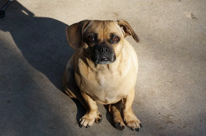 Riverside Animal Hospital 12
