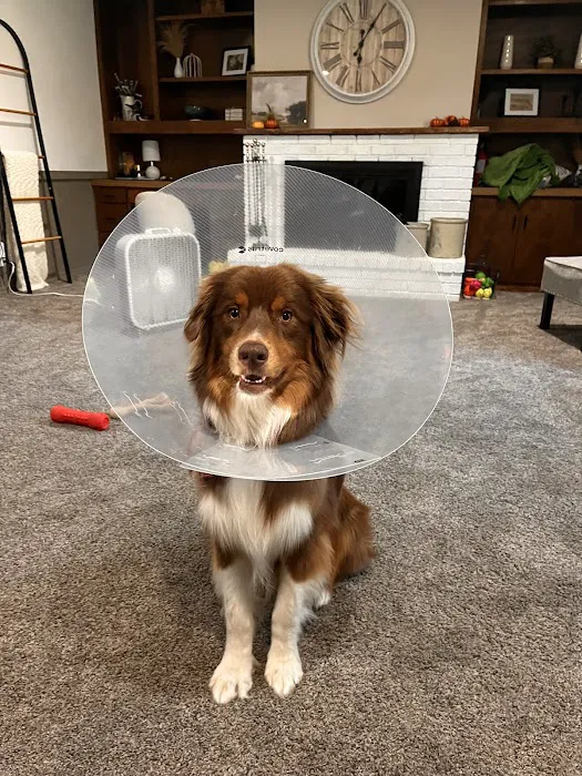 Riverside Animal Hospital 12