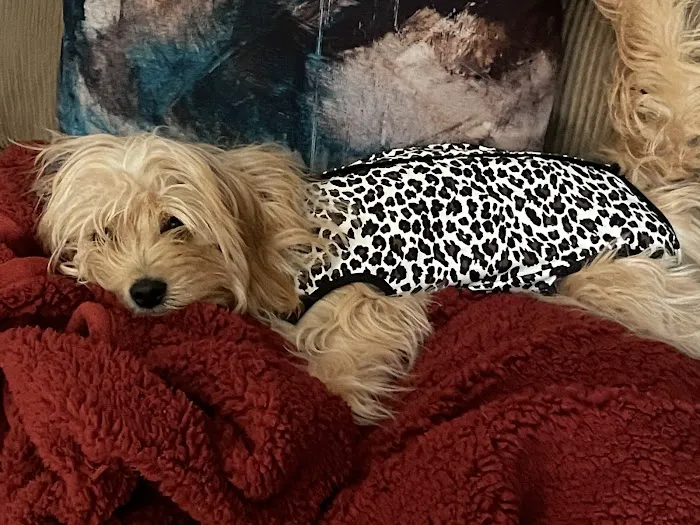 Riverside Animal Hospital 12