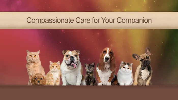 Animal Hospital of Ashwaubenon 12