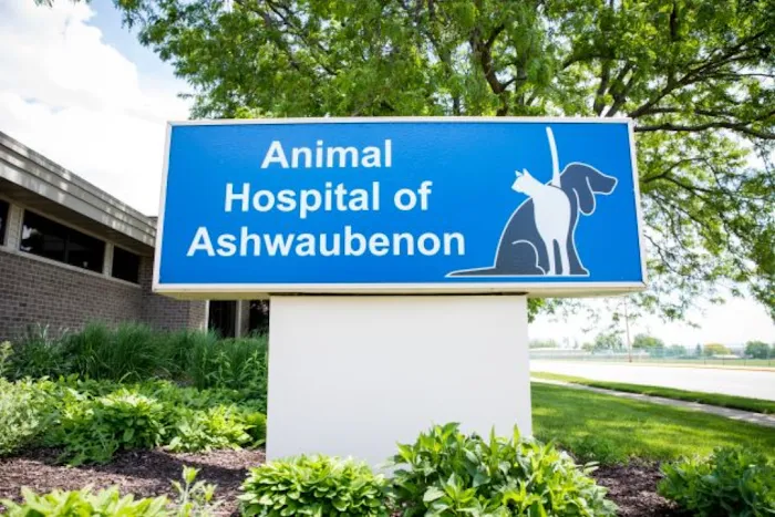Animal Hospital of Ashwaubenon 12