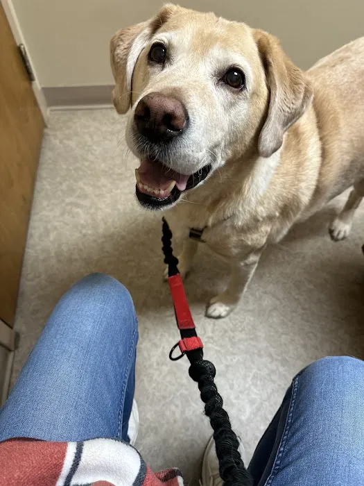 Animal Hospital of Ashwaubenon 12