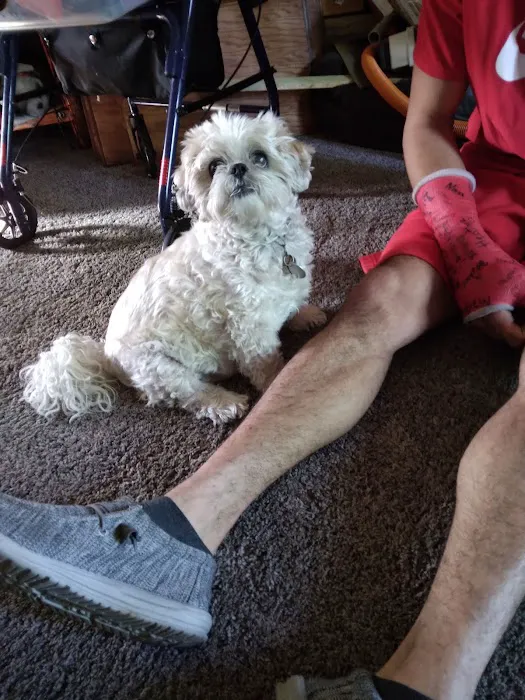 Animal Hospital of Ashwaubenon 12