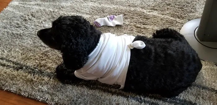 Animal Hospital of Ashwaubenon: Barker Terry DVM 12