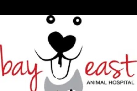 Bay East Animal Hospital: Cheryl Skaletski DVM
