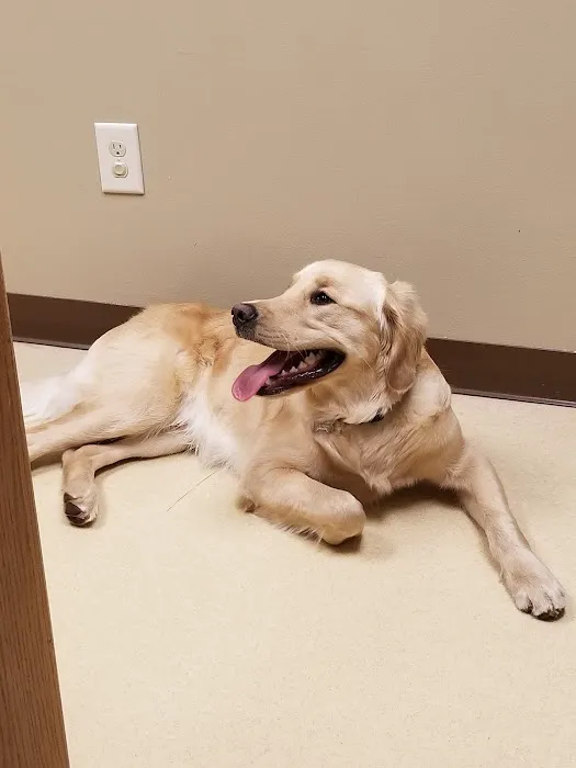 Bay East Animal Hospital 12
