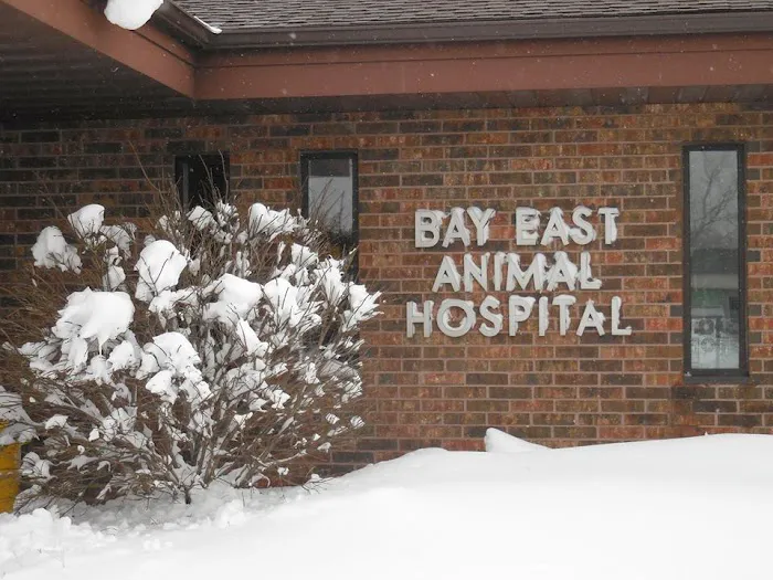 Bay East Animal Hospital 12