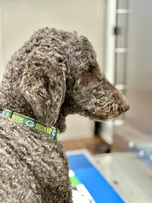 Gentle Vet Animal Hospital 12