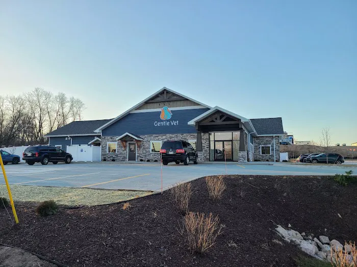 Gentle Vet Animal Hospital 12