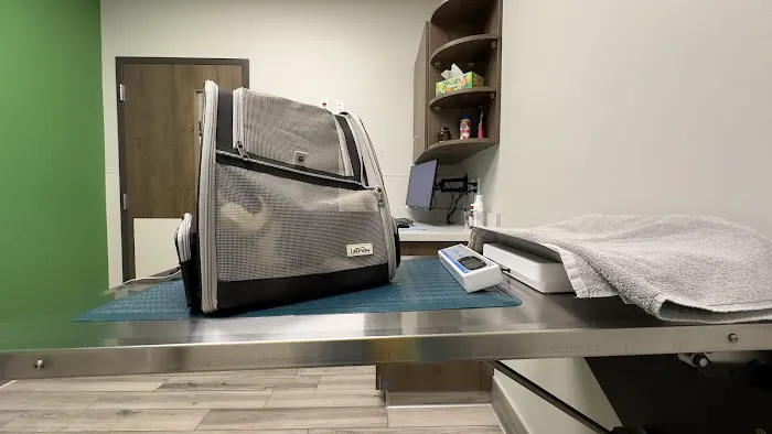 Gentle Vet Animal Hospital 12