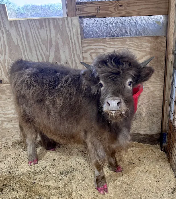 Marshall County Veterinary Clinic 4