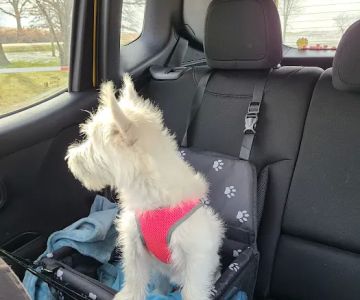 Mc Kenna's Veterinary Services