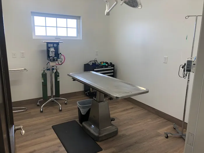 Country Oaks Veterinary Clinic, PLLC 8